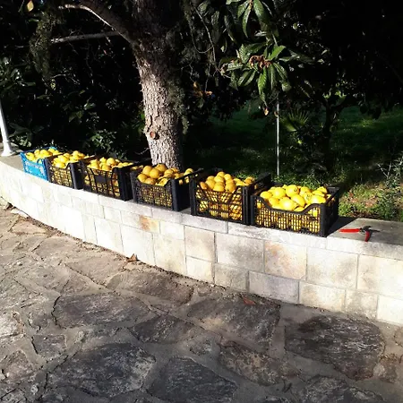 B&B Gli Agrumi Del Salento Bed and Breakfast